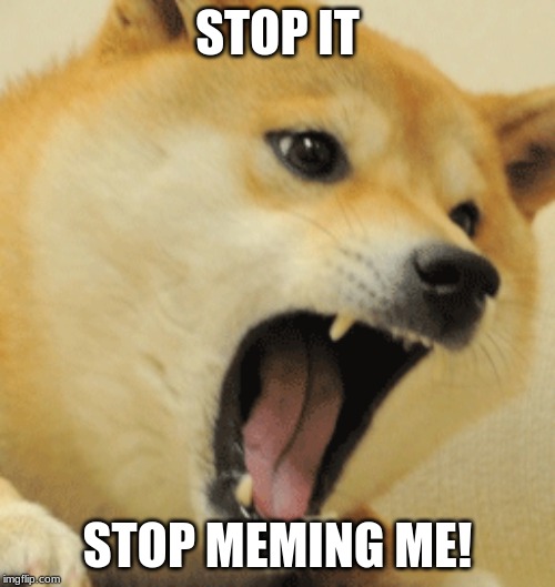 STOP IT; STOP MEMING ME! | image tagged in angry doge | made w/ Imgflip meme maker