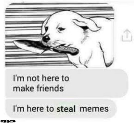 StealingPics | image tagged in funny meme | made w/ Imgflip meme maker