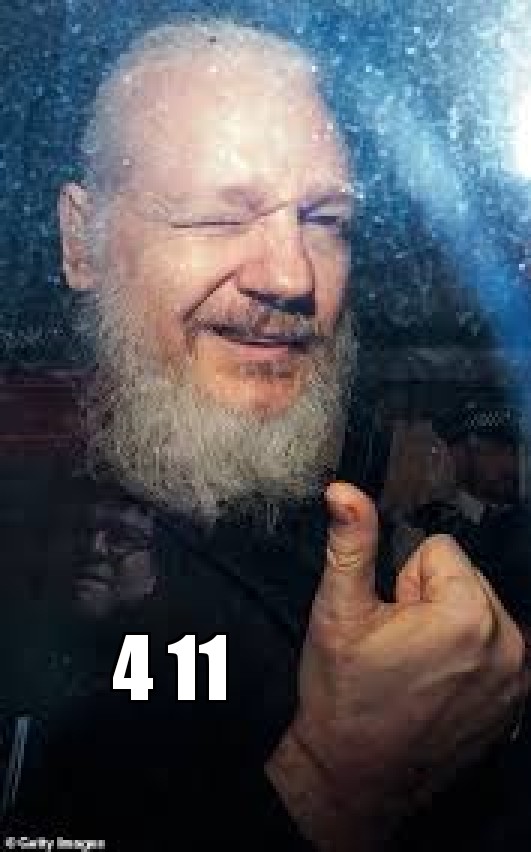 High Quality Julian Assange Blank Meme Template