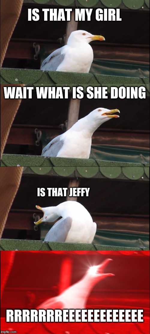 Inhaling Seagull Meme | IS THAT MY GIRL; WAIT WHAT IS SHE DOING; IS THAT JEFFY; RRRRRRREEEEEEEEEEEEE | image tagged in memes,inhaling seagull | made w/ Imgflip meme maker