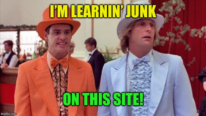 dumb and dumber | I’M LEARNIN’ JUNK ON THIS SITE! | image tagged in dumb and dumber | made w/ Imgflip meme maker