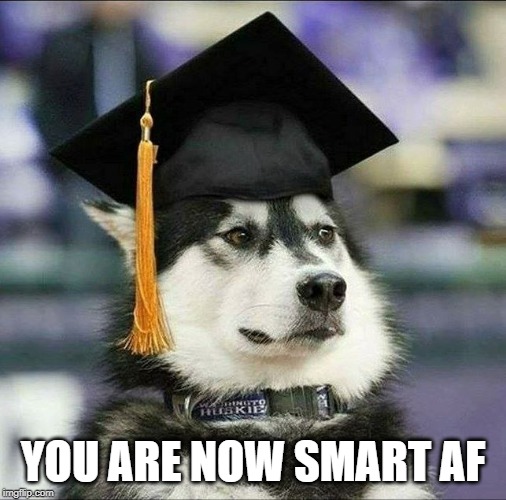 educated husky | YOU ARE NOW SMART AF | image tagged in educated husky | made w/ Imgflip meme maker