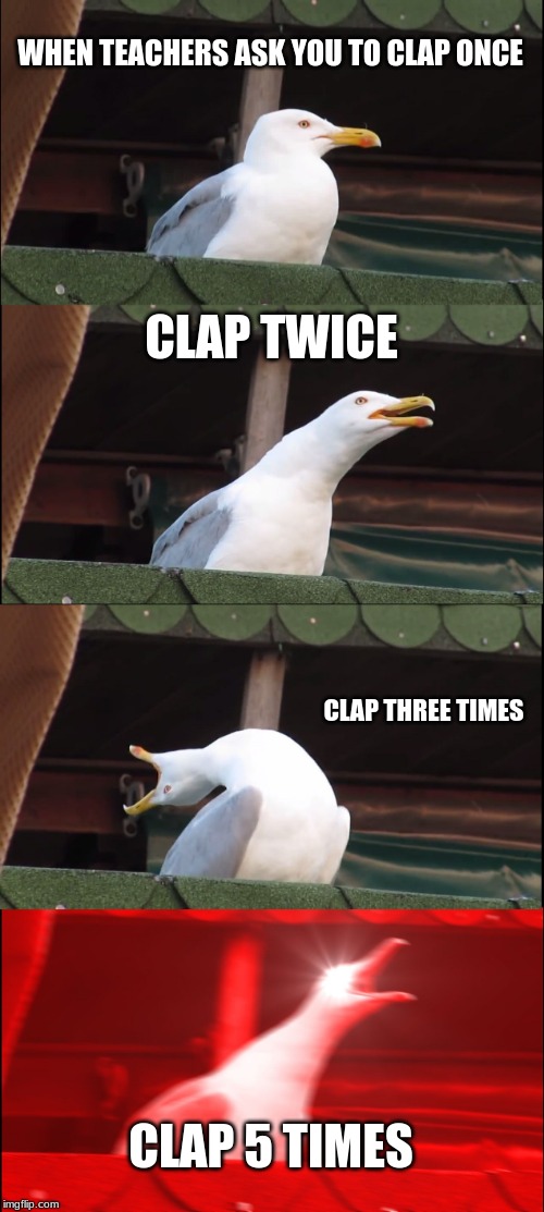 Inhaling Seagull Meme | WHEN TEACHERS ASK YOU TO CLAP ONCE; CLAP TWICE; CLAP THREE TIMES; CLAP 5 TIMES | image tagged in memes,inhaling seagull | made w/ Imgflip meme maker