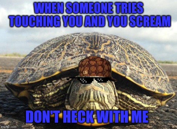 Don't heck with me | WHEN SOMEONE TRIES TOUCHING YOU AND YOU SCREAM; DON'T HECK WITH ME | image tagged in you had one job,but thats none of my business | made w/ Imgflip meme maker