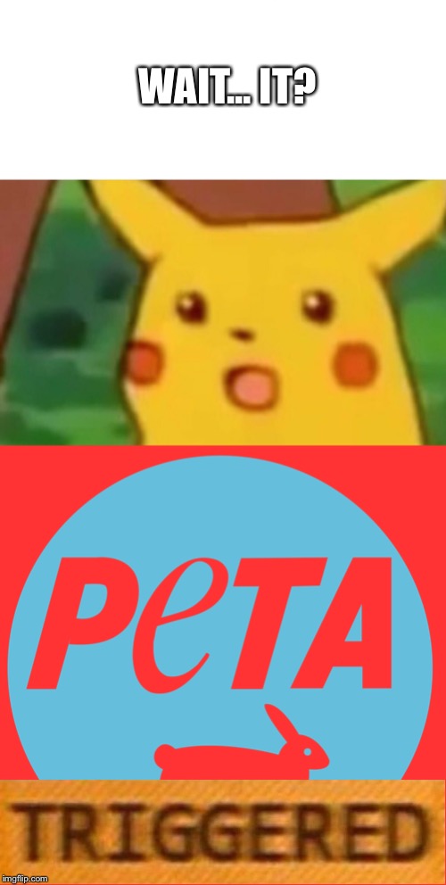 WAIT... IT? | image tagged in memes,surprised pikachu | made w/ Imgflip meme maker