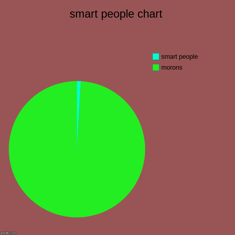 smart people chart | morons, smart people | image tagged in charts,pie charts | made w/ Imgflip chart maker