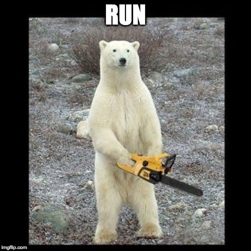 Chainsaw Bear Meme | RUN | image tagged in memes,chainsaw bear | made w/ Imgflip meme maker