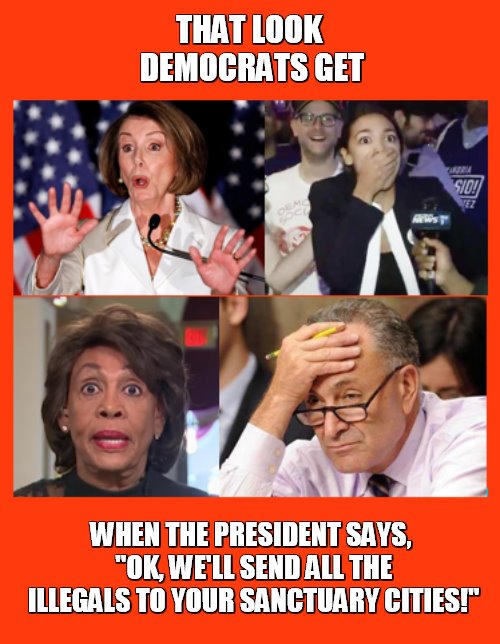 THAT LOOK DEMOCRATS GET; WHEN THE PRESIDENT SAYS, "OK, WE'LL SEND ALL THE ILLEGALS TO YOUR SANCTUARY CITIES!" | image tagged in sanctuary cities | made w/ Imgflip meme maker