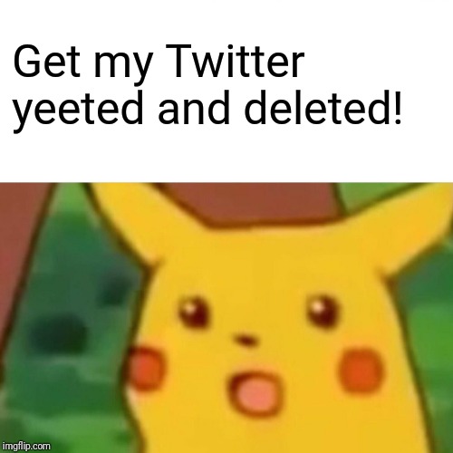 Surprised Pikachu Meme | Get my Twitter yeeted and deleted! | image tagged in memes,surprised pikachu | made w/ Imgflip meme maker