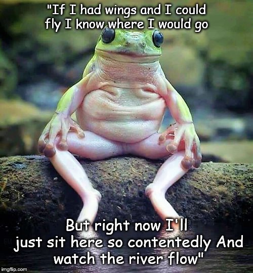 frog | "If I had wings and I could fly
I know where I would go; But right now I'll just sit here so contentedly
And watch the river flow" | image tagged in frog | made w/ Imgflip meme maker