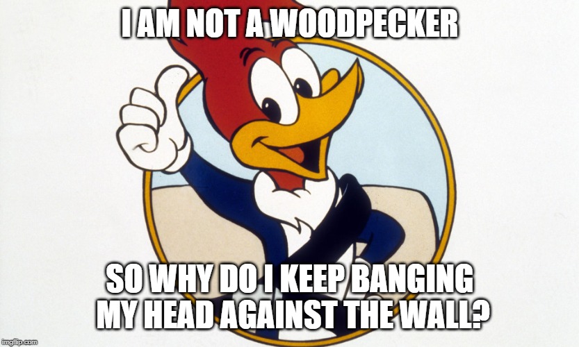 Woody Woodpecker | I AM NOT A WOODPECKER; SO WHY DO I KEEP BANGING MY HEAD AGAINST THE WALL? | image tagged in woody woodpecker | made w/ Imgflip meme maker