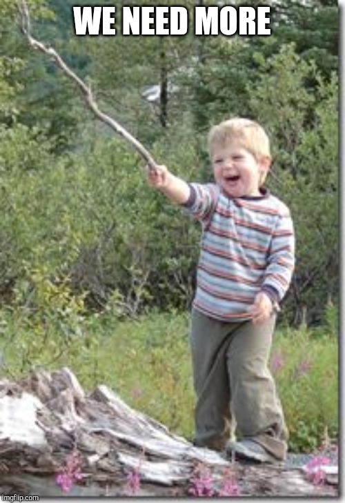 Kid w stick | WE NEED MORE | image tagged in kid w stick | made w/ Imgflip meme maker