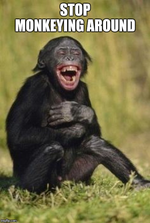 Laughing monkey | STOP MONKEYING AROUND | image tagged in laughing monkey | made w/ Imgflip meme maker