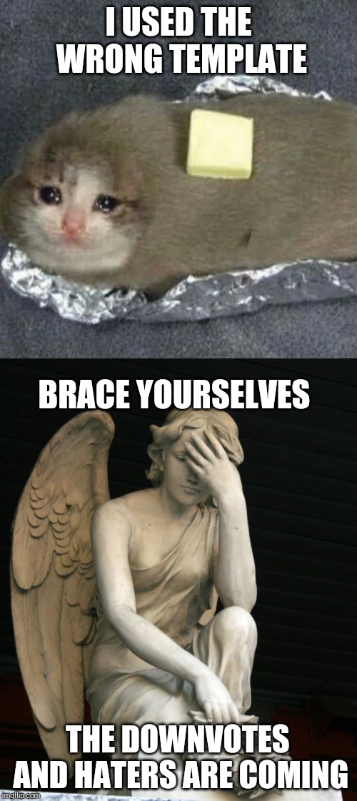 I USED THE WRONG TEMPLATE; BRACE YOURSELVES; THE DOWNVOTES AND HATERS ARE COMING | image tagged in angel facepalm,sad potato cat | made w/ Imgflip meme maker