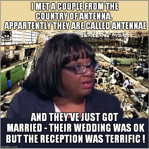 Diane Abbott and Antennae | I MET A COUPLE FROM THE COUNTRY OF ANTENNA.   APPARTENTLY THEY ARE CALLED ANTENNAE; AND THEY'VE JUST GOT MARRIED - THEIR WEDDING WAS OK BUT THE RECEPTION WAS TERRIFIC ! | image tagged in politics,diane abbott | made w/ Imgflip meme maker