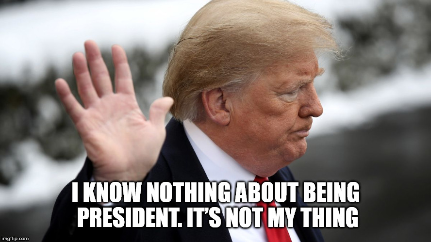 Not my thing | I KNOW NOTHING ABOUT BEING PRESIDENT. IT’S NOT MY THING | image tagged in trump,not wikileaked | made w/ Imgflip meme maker