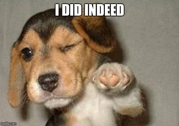 Winking Dog | I DID INDEED | image tagged in winking dog | made w/ Imgflip meme maker