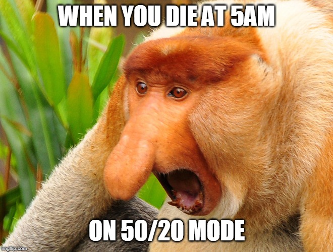 Janusz monkey screaming |  WHEN YOU DIE AT 5AM; ON 50/20 MODE | image tagged in janusz monkey screaming | made w/ Imgflip meme maker