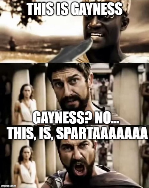 This Is Sparta meme | THIS IS GAYNESS; GAYNESS? NO... THIS, IS, SPARTAAAAAAA | image tagged in this is sparta meme | made w/ Imgflip meme maker