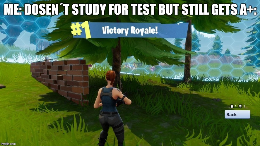 Fortnight victory royale | ME: DOSEN´T STUDY FOR TEST BUT STILL GETS A+: | image tagged in fortnight victory royale | made w/ Imgflip meme maker