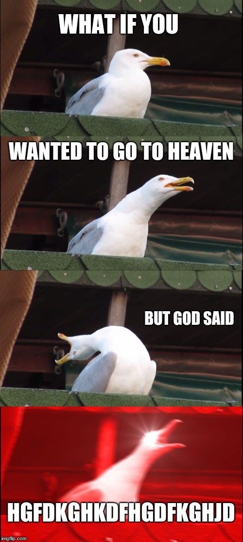 Inhaling Seagull | WHAT IF YOU; WANTED TO GO TO HEAVEN; BUT GOD SAID; HGFDKGHKDFHGDFKGHJD | image tagged in memes,inhaling seagull | made w/ Imgflip meme maker