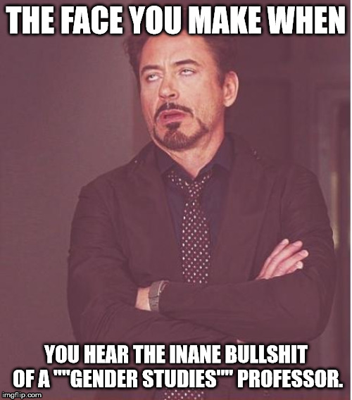 Face You Make Robert Downey Jr Meme | THE FACE YOU MAKE WHEN; YOU HEAR THE INANE BULLSHIT OF A ""GENDER STUDIES"" PROFESSOR. | image tagged in memes,face you make robert downey jr,gender studies,bullshit | made w/ Imgflip meme maker