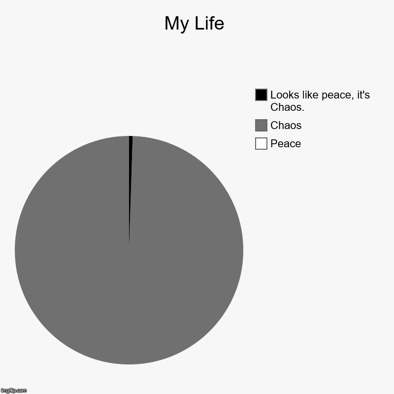 This Is Basically My Life | My Life | Peace, Chaos, Looks like peace, it's Chaos. | image tagged in charts,pie charts | made w/ Imgflip chart maker