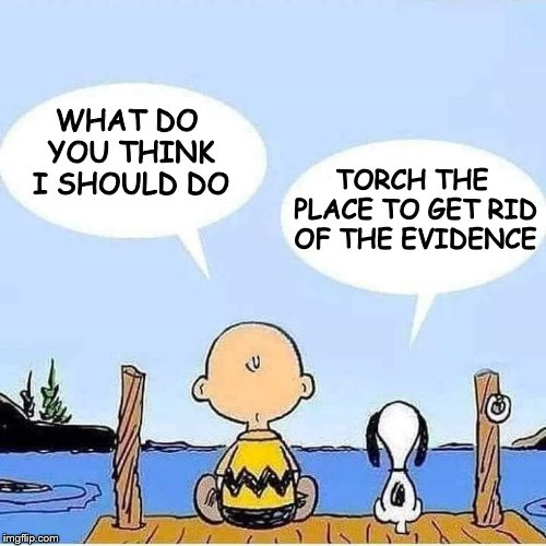 Decisions | WHAT DO YOU THINK I SHOULD DO; TORCH THE PLACE TO GET RID OF THE EVIDENCE | image tagged in charlie brown and snoopy bonding talk | made w/ Imgflip meme maker