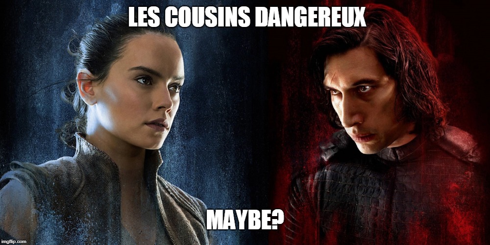LES COUSINS DANGEREUX; MAYBE? | image tagged in RedLetterMedia | made w/ Imgflip meme maker