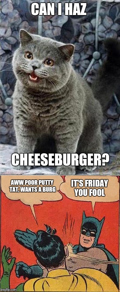 CAN I HAZ CHEESEBURGER? AWW POOR PUTTY TAT, WANTS A BURG IT'S FRIDAY YOU FOOL | image tagged in memes,batman slapping robin,i can has cheezburger cat | made w/ Imgflip meme maker