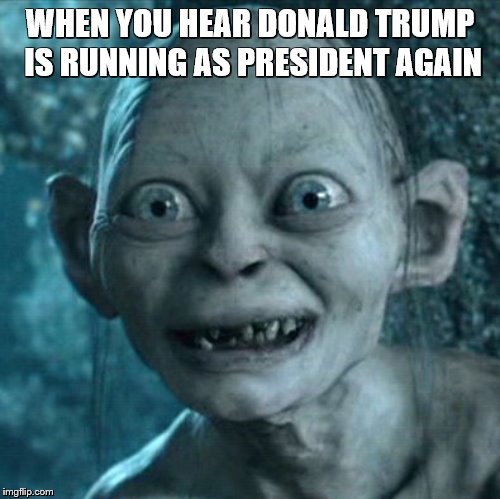 when you hear Donald trump running as president | WHEN YOU HEAR DONALD TRUMP IS RUNNING AS PRESIDENT AGAIN | image tagged in memes,gollum,donald trump,political meme | made w/ Imgflip meme maker