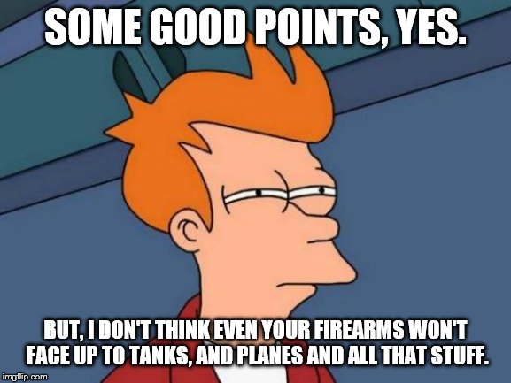 Futurama Fry Meme | SOME GOOD POINTS, YES. BUT, I DON'T THINK EVEN YOUR FIREARMS WON'T FACE UP TO TANKS, AND PLANES AND ALL THAT STUFF. | image tagged in memes,futurama fry | made w/ Imgflip meme maker