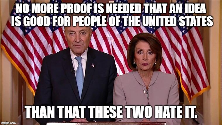 Should we or shouldn't we....? | NO MORE PROOF IS NEEDED THAT AN IDEA IS GOOD FOR PEOPLE OF THE UNITED STATES; THAN THAT THESE TWO HATE IT. | image tagged in pelosi and schumer,socialism is slavery,capitalism works | made w/ Imgflip meme maker