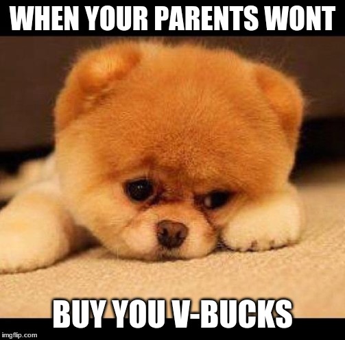 sad dog | WHEN YOUR PARENTS WONT; BUY YOU V-BUCKS | image tagged in sad dog | made w/ Imgflip meme maker