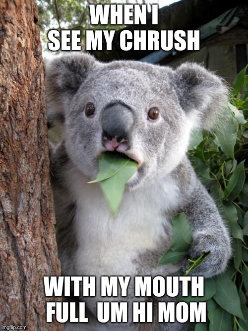 Surprised Koala | WHEN I SEE MY CHRUSH; WITH MY MOUTH FULL  UM HI MOM | image tagged in memes,surprised koala | made w/ Imgflip meme maker
