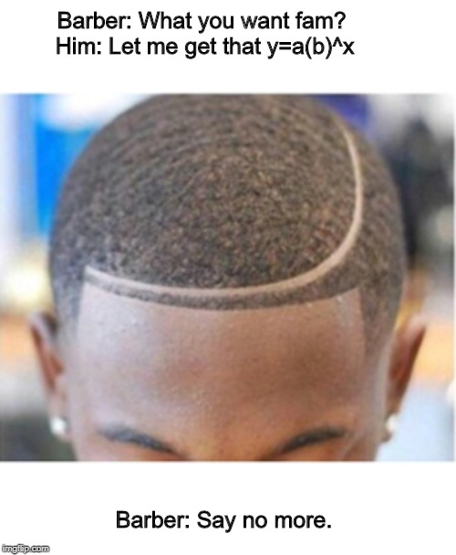 Exponential Function Say No More | Barber: What you want fam?           Him: Let me get that y=a(b)^x; Barber: Say no more. | image tagged in math | made w/ Imgflip meme maker
