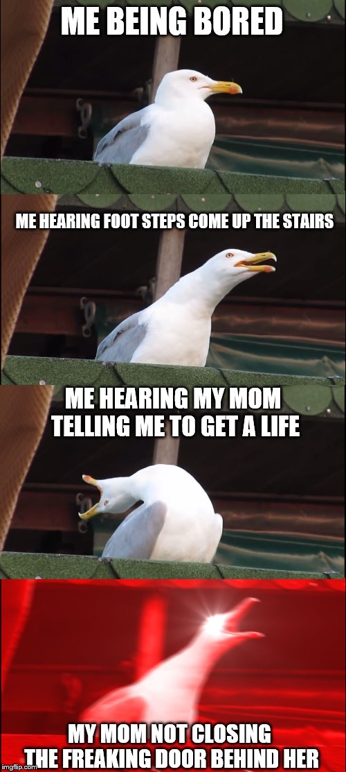Inhaling Seagull Meme | ME BEING BORED; ME HEARING FOOT STEPS COME UP THE STAIRS; ME HEARING MY MOM TELLING ME TO GET A LIFE; MY MOM NOT CLOSING THE FREAKING DOOR BEHIND HER | image tagged in memes,inhaling seagull | made w/ Imgflip meme maker