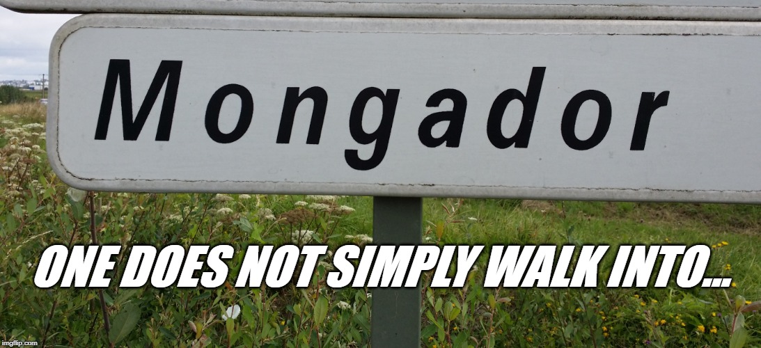 ONE DOES NOT SIMPLY WALK INTO... | image tagged in not mordor | made w/ Imgflip meme maker