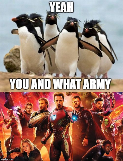 YEAH; YOU AND WHAT ARMY | image tagged in memes,penguin gang | made w/ Imgflip meme maker