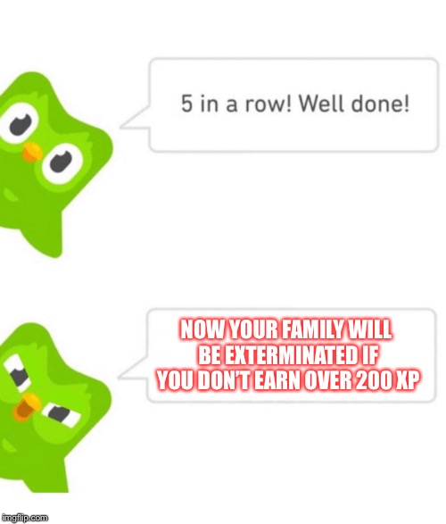 Duolingo 5 in a row | NOW YOUR FAMILY WILL BE EXTERMINATED IF YOU DON’T EARN OVER 200 XP | image tagged in duolingo 5 in a row | made w/ Imgflip meme maker