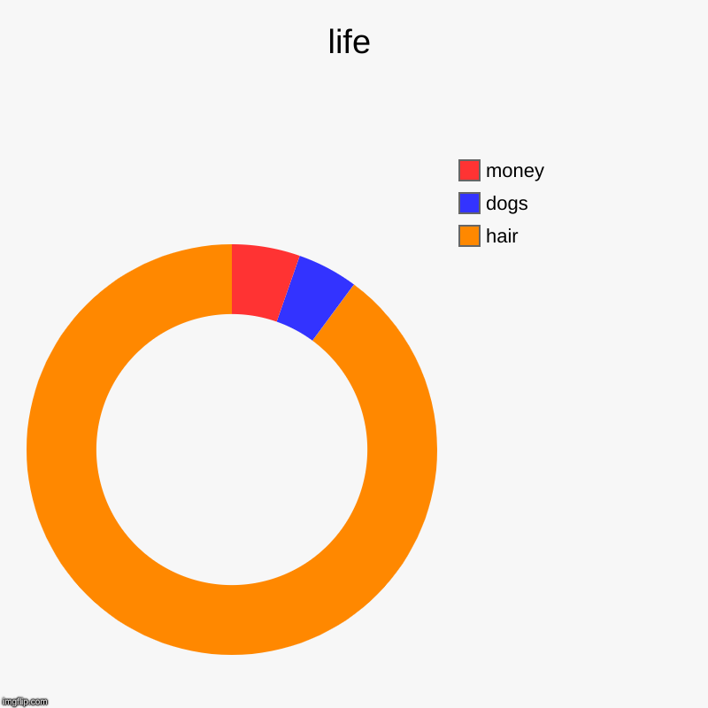 life | hair, dogs, money | image tagged in charts,donut charts | made w/ Imgflip chart maker