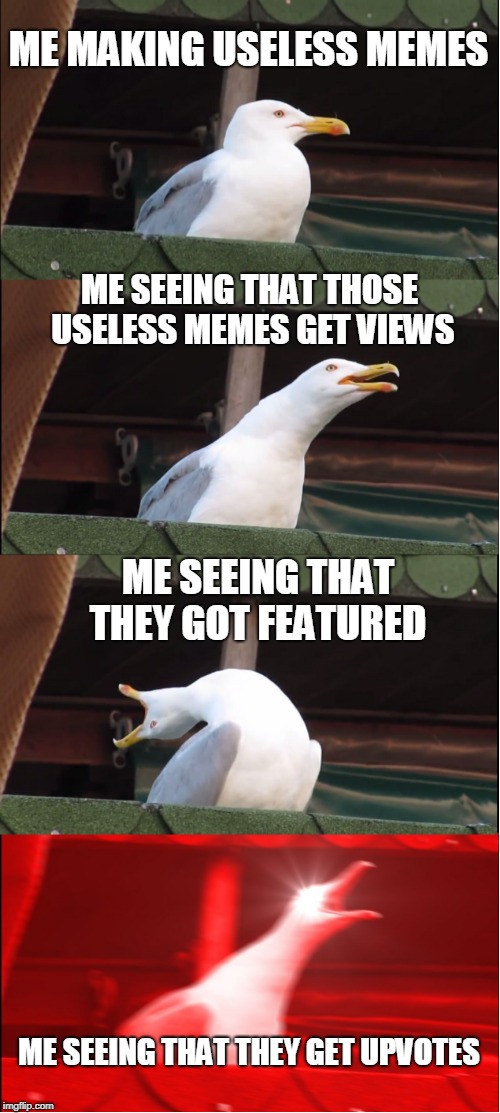 Inhaling Seagull Meme | ME MAKING USELESS MEMES; ME SEEING THAT THOSE USELESS MEMES GET VIEWS; ME SEEING THAT THEY GOT FEATURED; ME SEEING THAT THEY GET UPVOTES | image tagged in memes,inhaling seagull | made w/ Imgflip meme maker