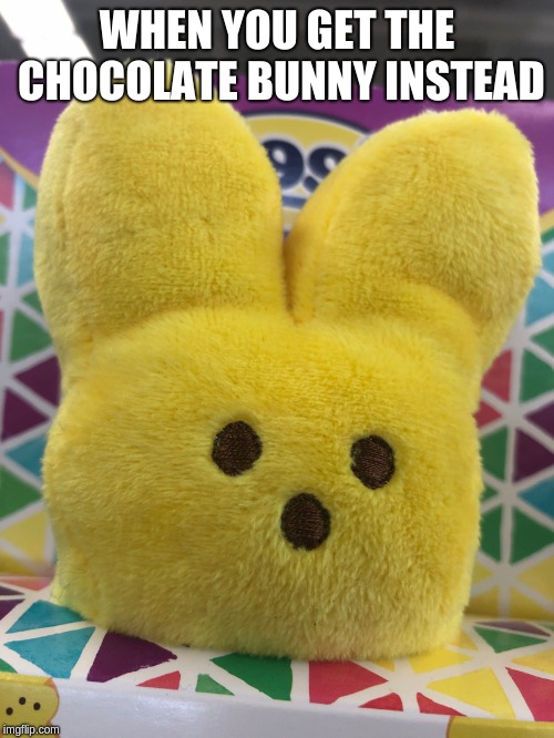 WHEN YOU GET THE CHOCOLATE BUNNY INSTEAD | image tagged in surprisedpeep | made w/ Imgflip meme maker
