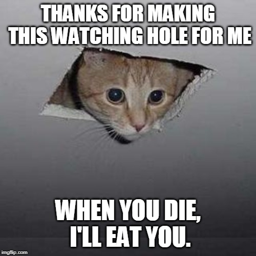 Ceiling Cat Meme | THANKS FOR MAKING THIS WATCHING HOLE FOR ME; WHEN YOU DIE, I'LL EAT YOU. | image tagged in memes,ceiling cat | made w/ Imgflip meme maker
