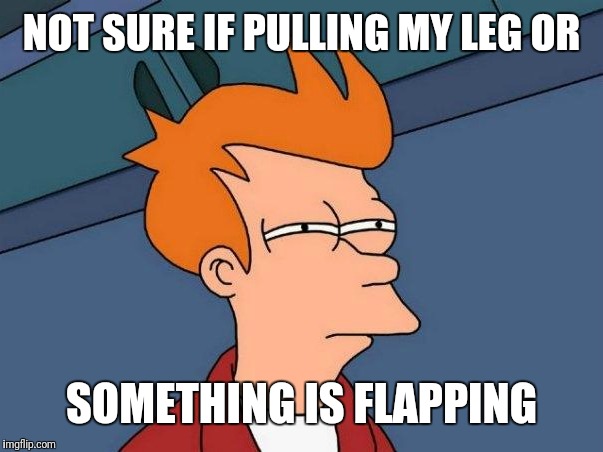 NOT SURE IF PULLING MY LEG OR SOMETHING IS FLAPPING | made w/ Imgflip meme maker