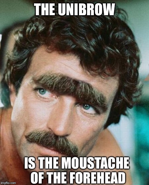 Shave the bridge | THE UNIBROW; IS THE MOUSTACHE OF THE FOREHEAD | image tagged in tom selleck | made w/ Imgflip meme maker