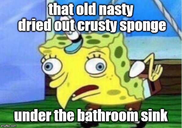 not safe for work | that old nasty dried out crusty sponge; under the bathroom sink | image tagged in memes,spongebob | made w/ Imgflip meme maker
