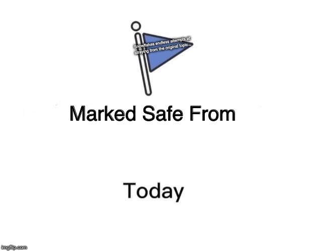 Marked Safe From | Snowflakes endless attempts at straying from the original topic... | image tagged in memes,marked safe from | made w/ Imgflip meme maker