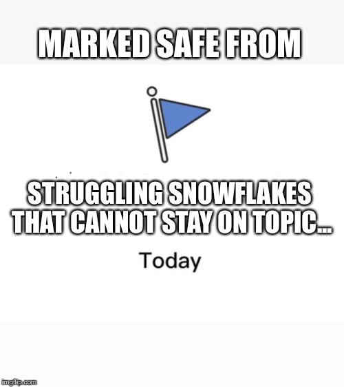 Marked safe from | MARKED SAFE FROM; STRUGGLING SNOWFLAKES THAT CANNOT STAY ON TOPIC... | image tagged in marked safe from | made w/ Imgflip meme maker