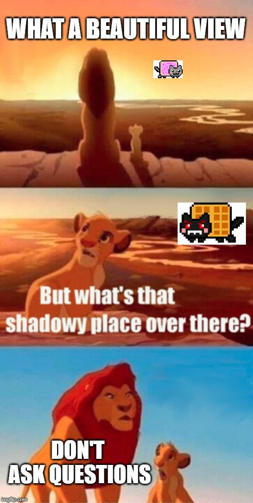 Simba Shadowy Place | WHAT A BEAUTIFUL VIEW; DON'T ASK QUESTIONS | image tagged in memes,simba shadowy place | made w/ Imgflip meme maker